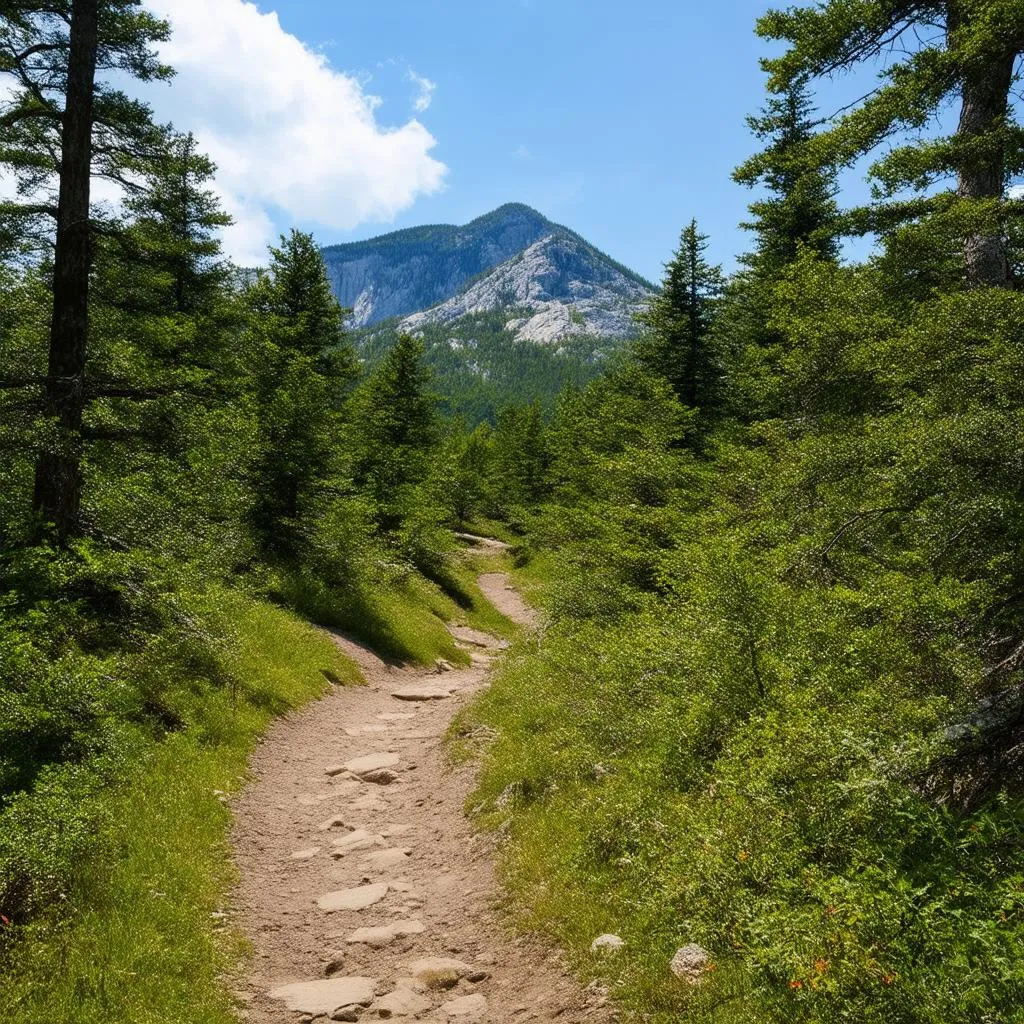 Mountain Hiking